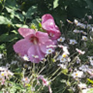 Meet your Posher, Mynew